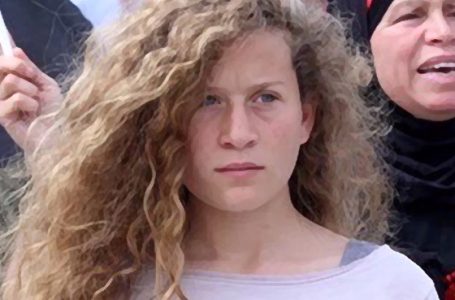 Pogrom rodziny Tamimi