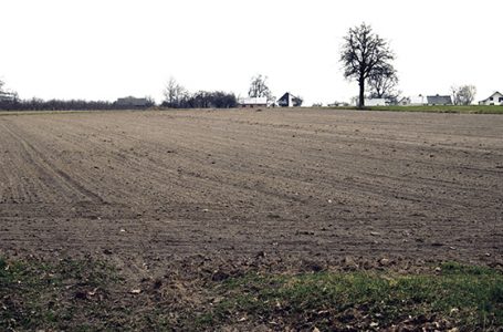 Czas na zniesienie restrykcji w obrocie ziemią