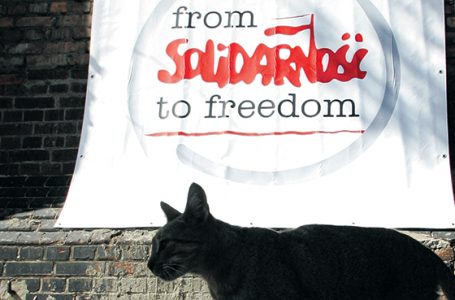 „Przepraszam za Solidarność”