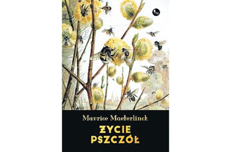 Maurice od Pszczół