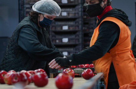 Ukraine crisis deals huge blow to Greece’s fruit and vegetable exports